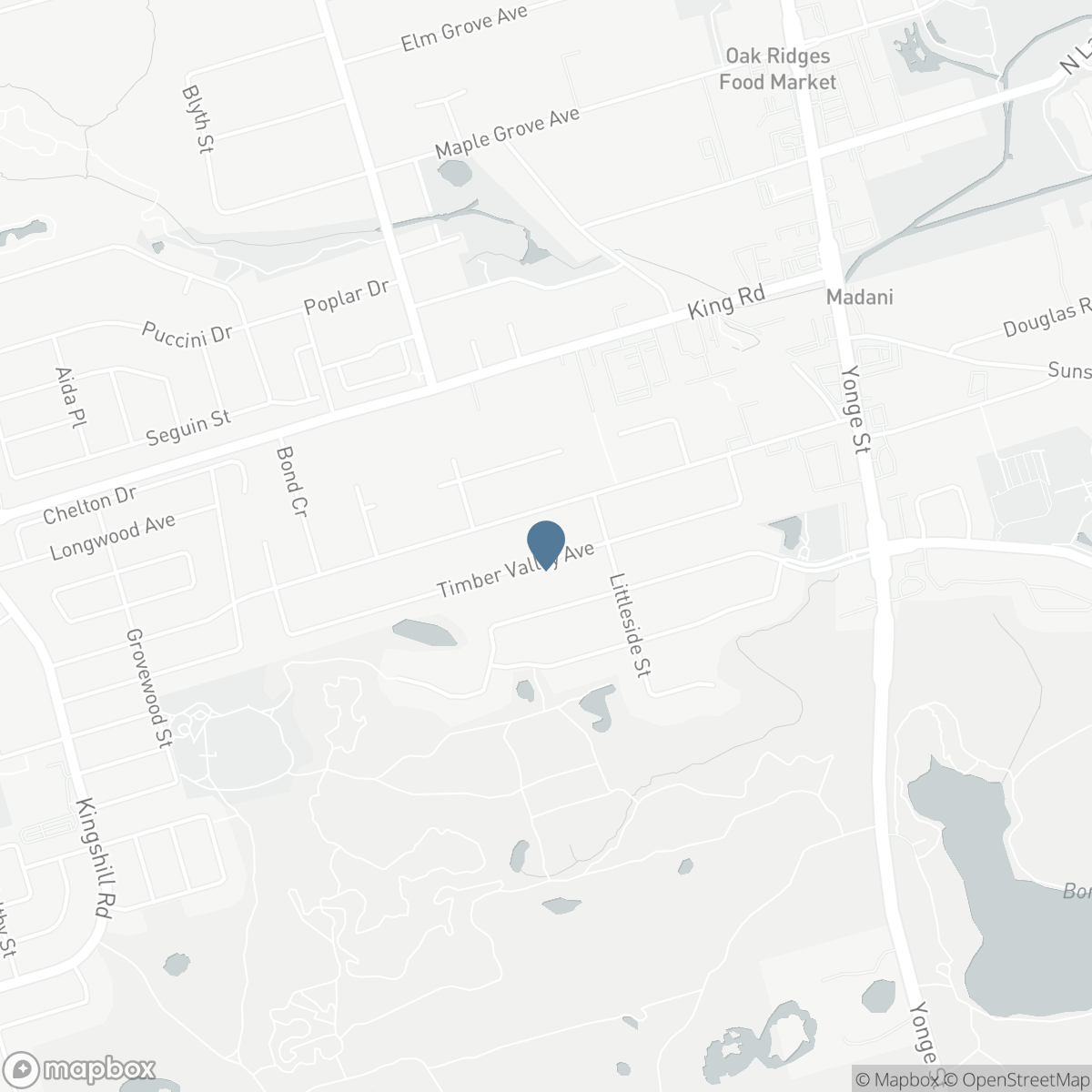 96 TIMBER VALLEY AVENUE, Richmond Hill, Ontario L4E 4Z9